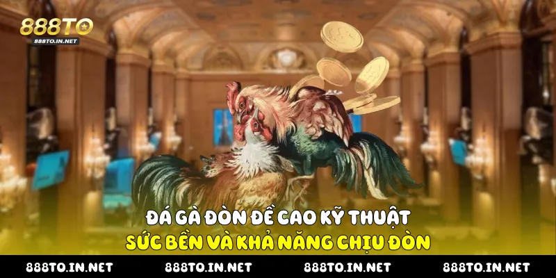 Đá Gà Đòn Trực Tiếp Gay Cấn Từng Hiệp Trên 888TO Đá gà đòn đề cao kỹ thuật, sức bền và khả năng chịu đòn